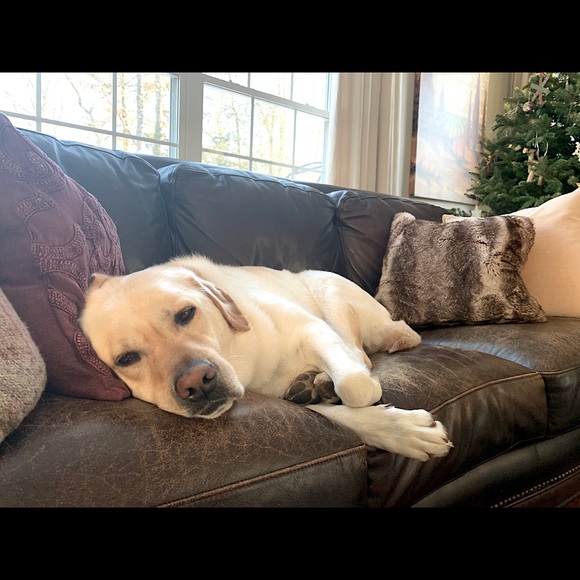 Meet your Posher, Kristina - Picture 1 of 3